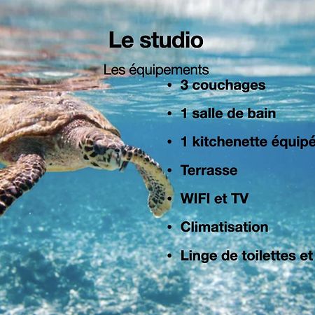 Studio Hippocampe P&V Sainte-Luce Luaran gambar