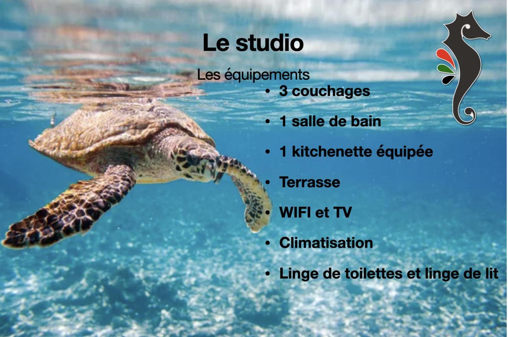 Studio Hippocampe P&V Sainte-Luce Luaran gambar